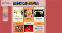 Desktop Screenshot of flowerenergies.com