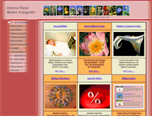 Tablet Screenshot of flowerenergies.com